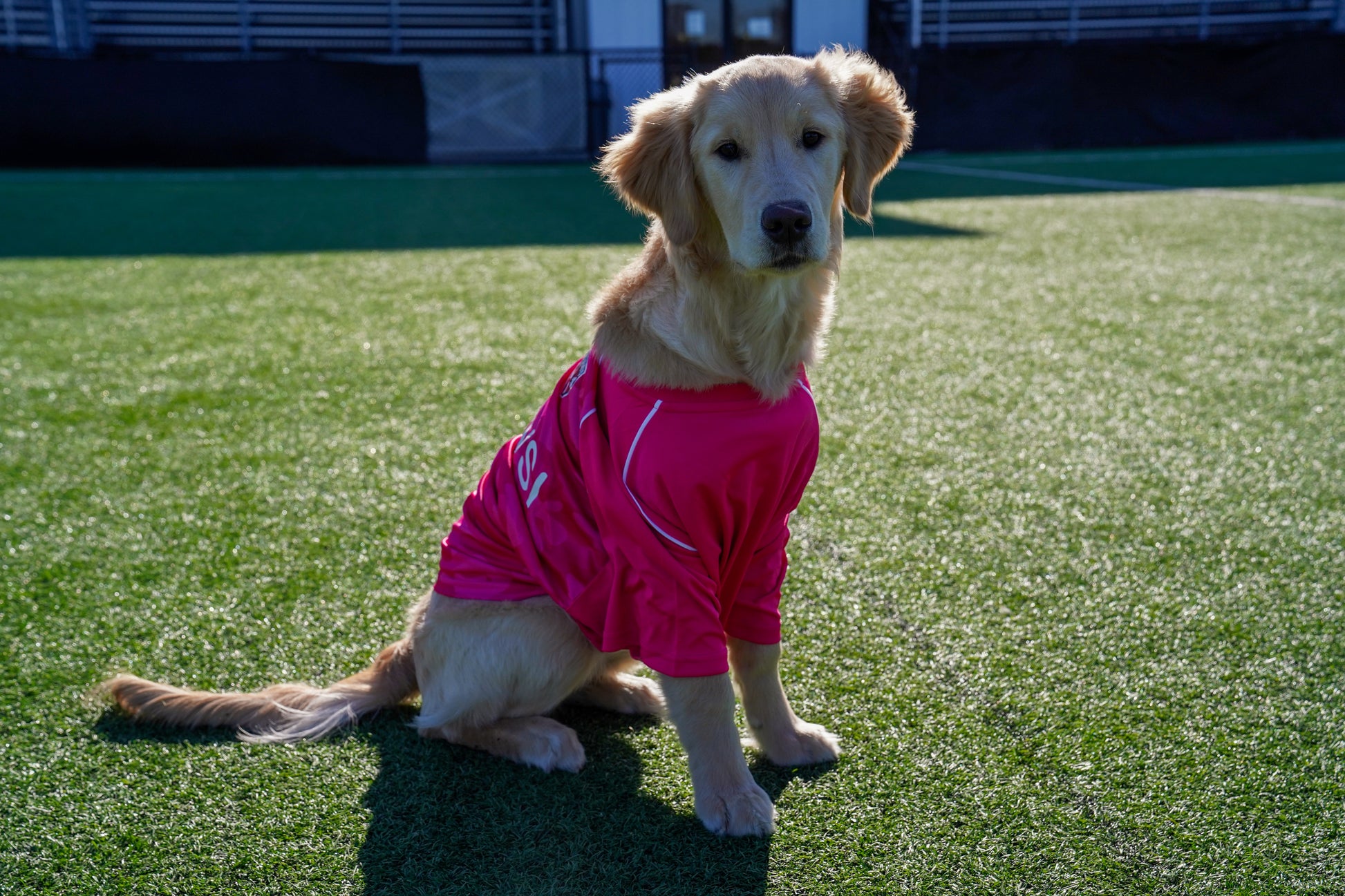Breast Cancer Awareness Pink Warm Up Top