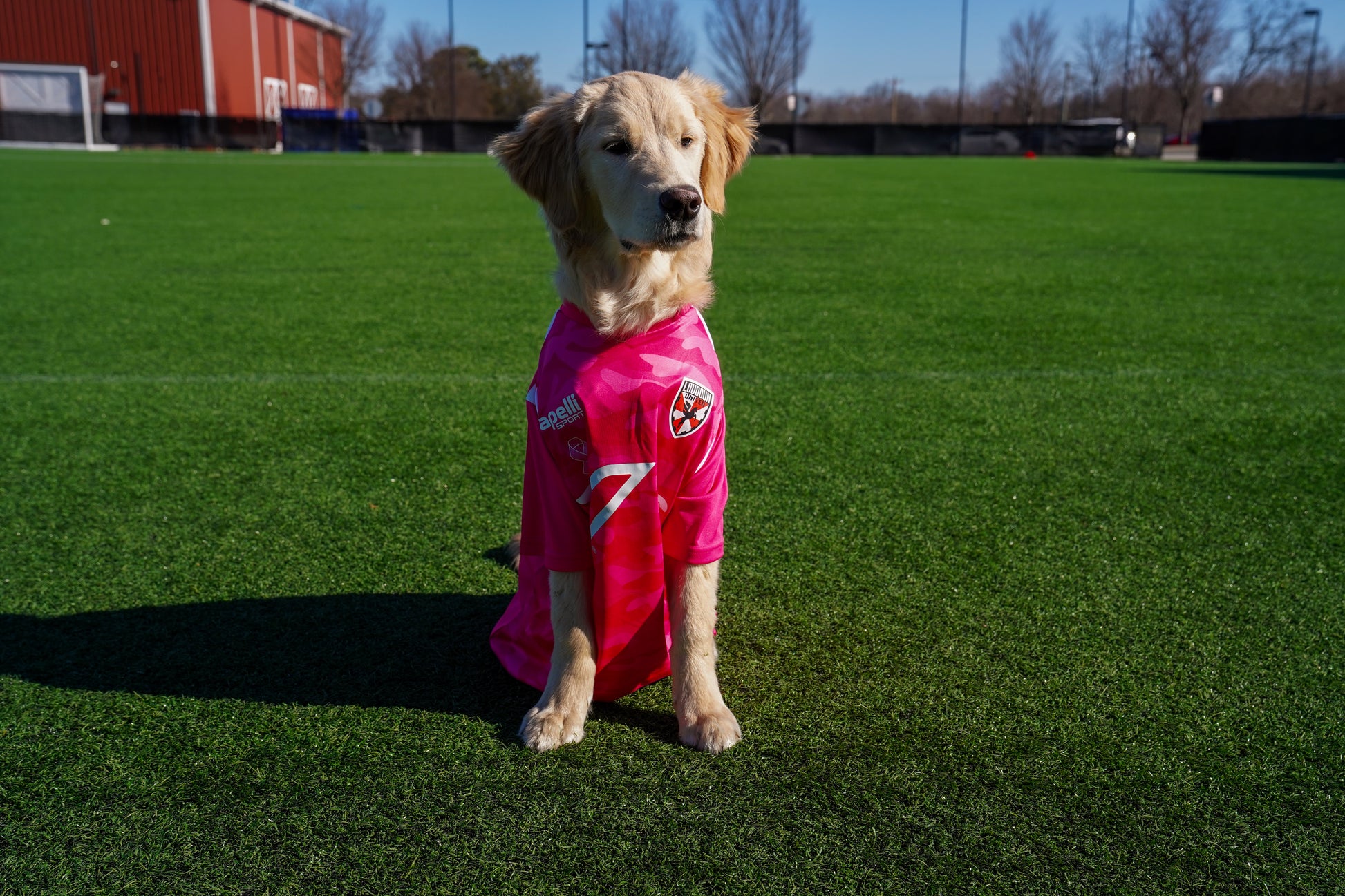 Breast Cancer Awareness Pink Warm Up Top